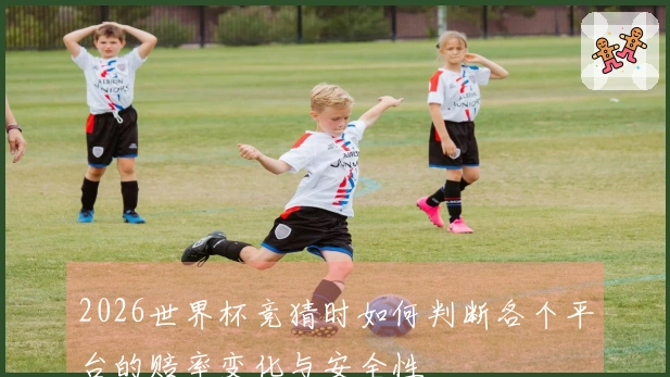 2026世界杯竞猜时如何判断各个平台的赔率变化与安全性