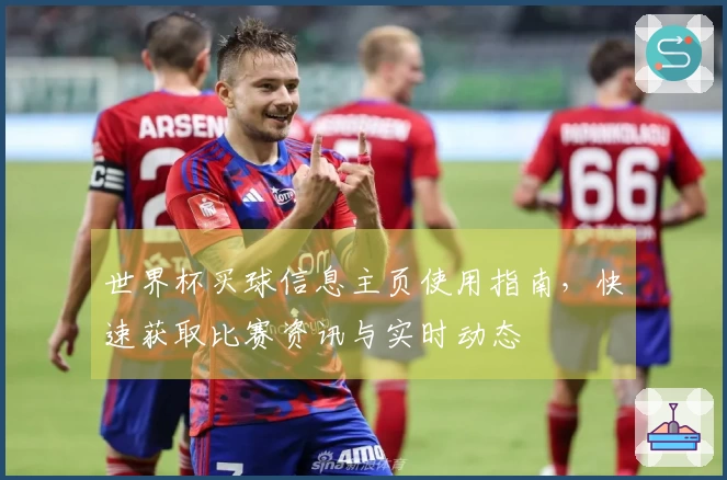 世界杯买球信息主页使用指南，快速获取比赛资讯与实时动态