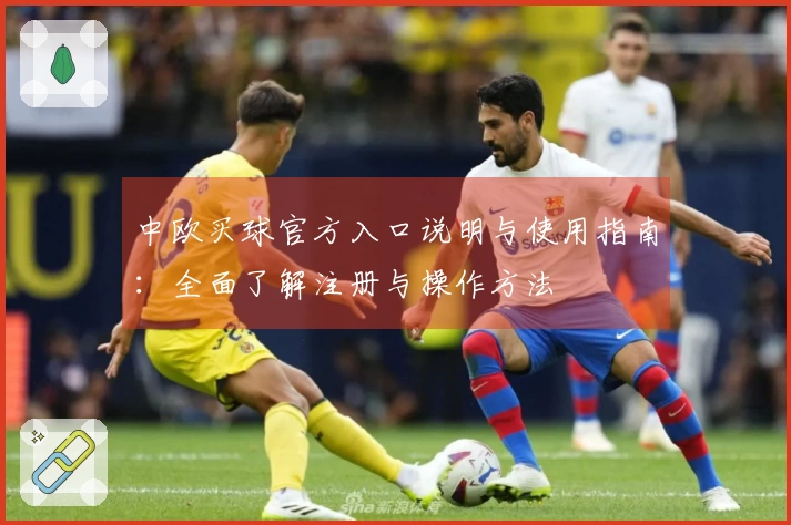 中欧买球官方入口说明与使用指南：全面了解注册与操作方法