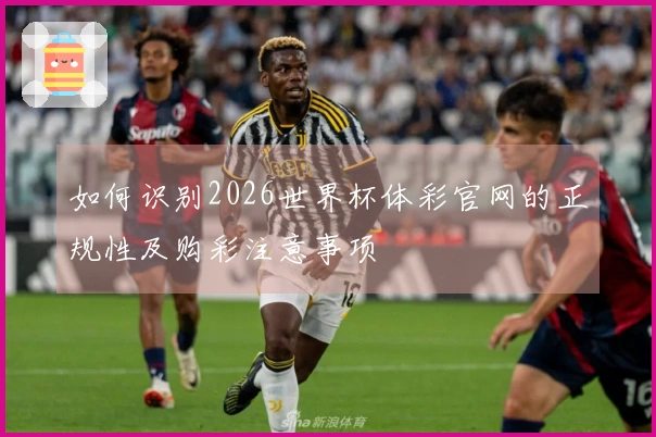 如何识别2026世界杯体彩官网的正规性及购彩注意事项