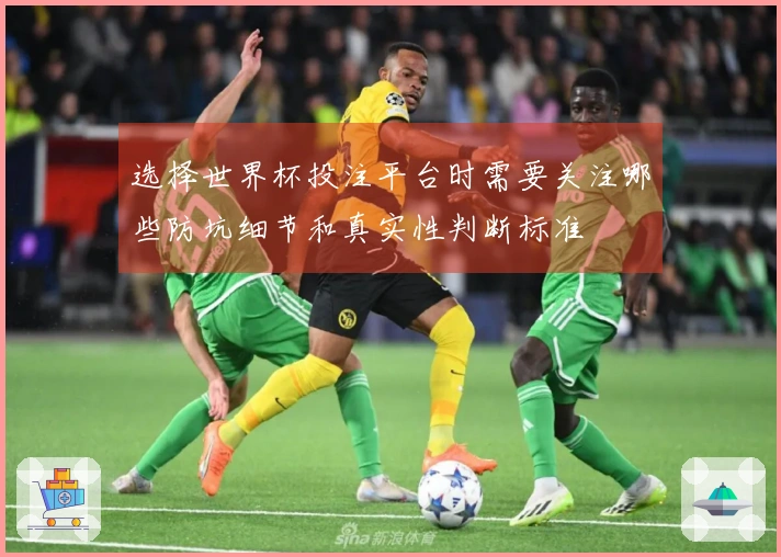 选择世界杯投注平台时需要关注哪些防坑细节和真实性判断标准