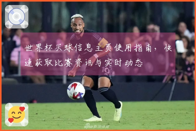世界杯买球信息主页使用指南,快速获取比赛资讯与实时动态