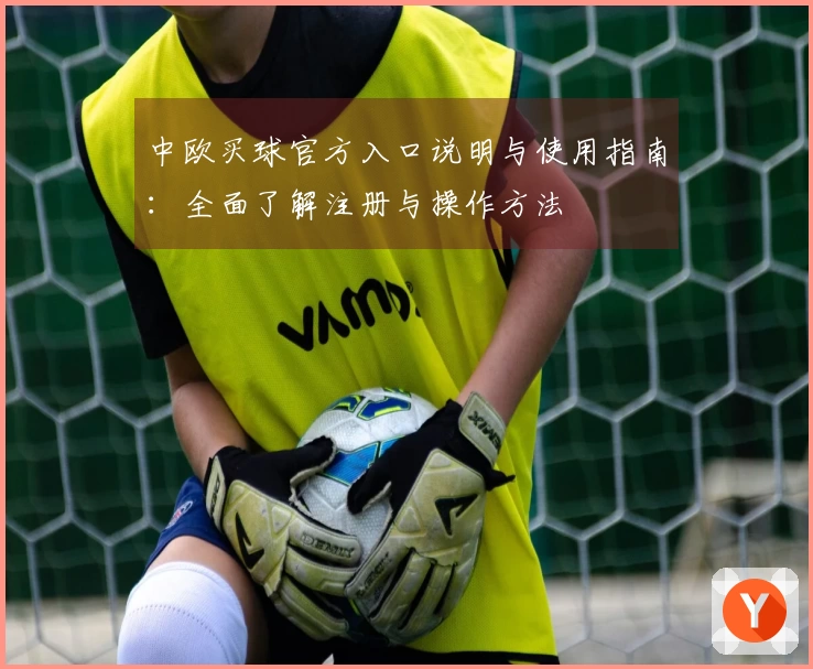 中欧买球官方入口说明与使用指南：全面了解注册与操作方法