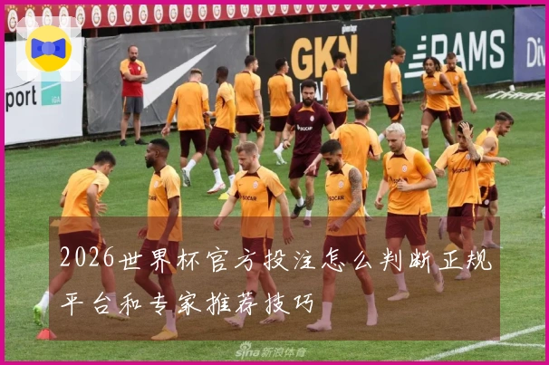 2026世界杯官方投注怎么判断正规平台和专家推荐技巧