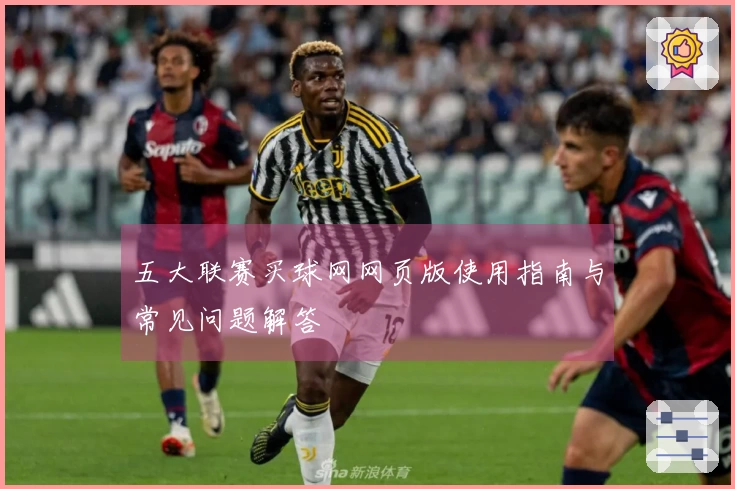 五大联赛买球网网页版使用指南与常见问题解答