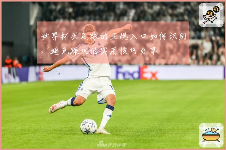 世界杯买足球的正规入口如何识别，避免踩坑的实用技巧分享