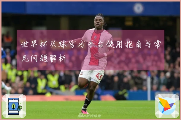 世界杯买球官方平台使用指南与常见问题解析