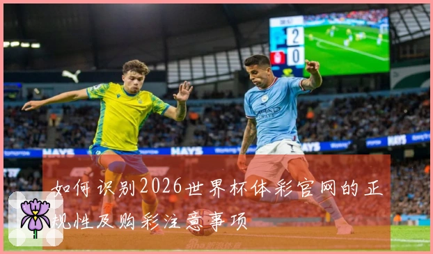 如何识别2026世界杯体彩官网的正规性及购彩注意事项