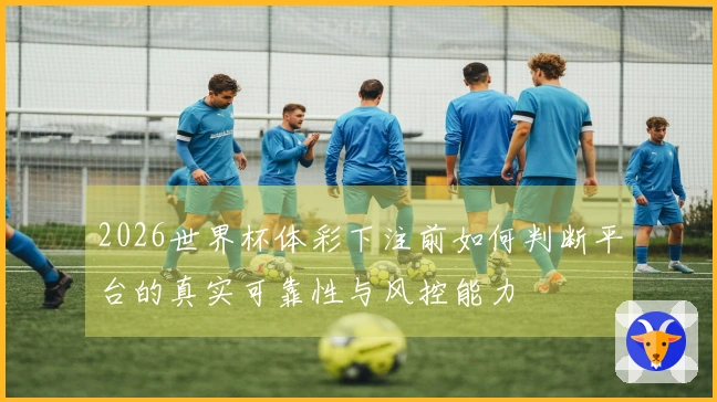 2026世界杯体彩下注前如何判断平台的真实可靠性与风控能力