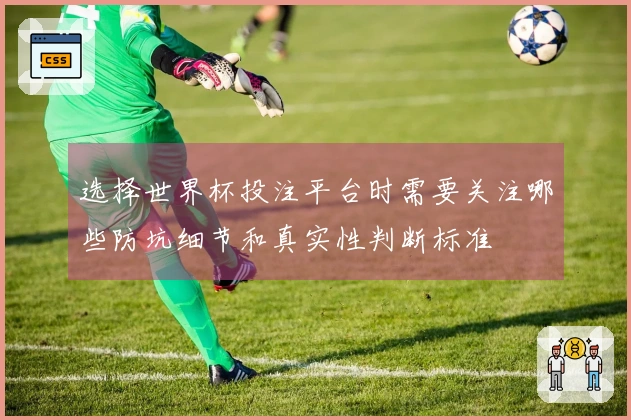 选择世界杯投注平台时需要关注哪些防坑细节和真实性判断标准