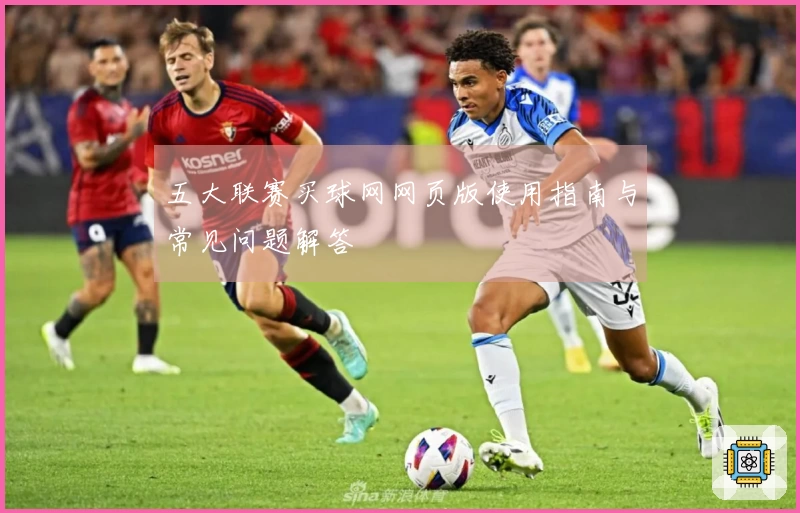 五大联赛买球网网页版使用指南与常见问题解答