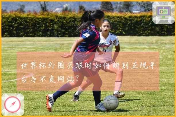 世界杯外围买球时如何辨别正规平台与不良网站?