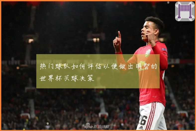热门球队如何评估以便做出明智的世界杯买球决策